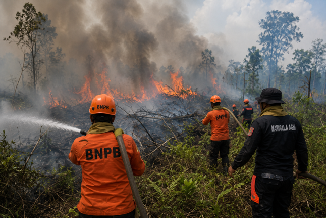 Karhutla Kalimantan Barat Capai 28 Ribu Hektare, BNPB Intensifkan Penanganan dan Mitigasi Dampak El Nino